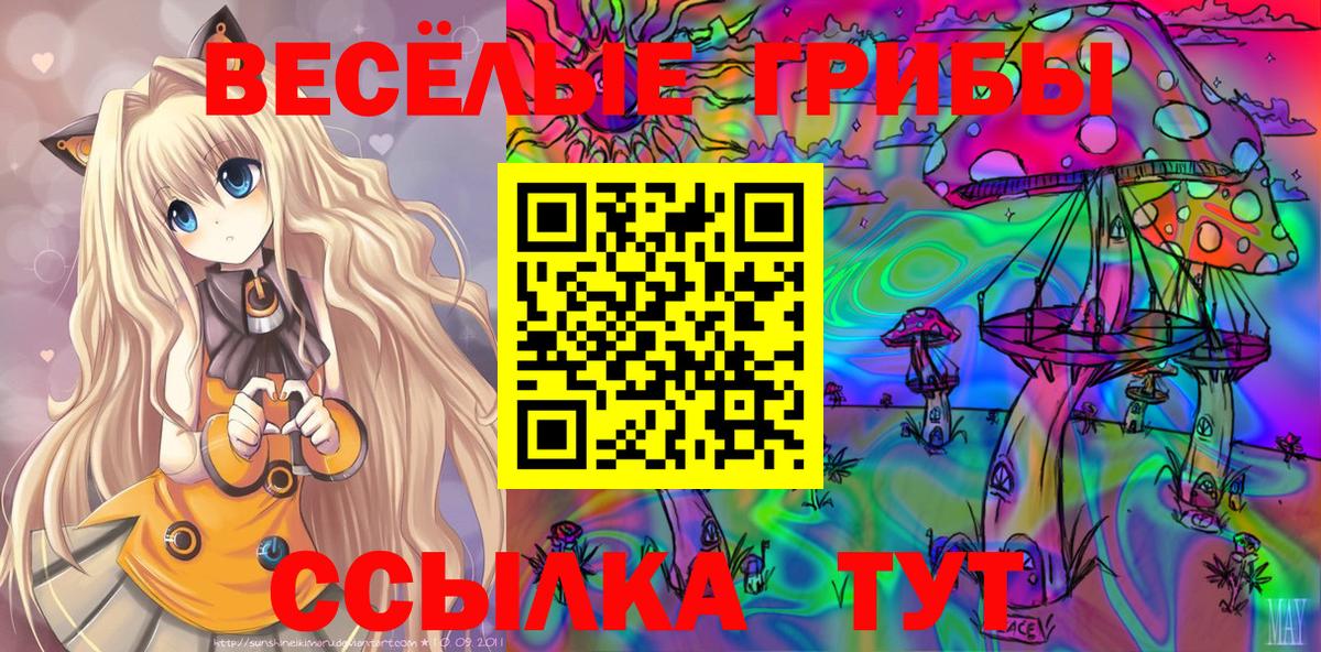 Галлюциногенные грибы Psilocybe Алейск
